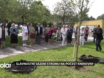 Galéria - ROS Karviná