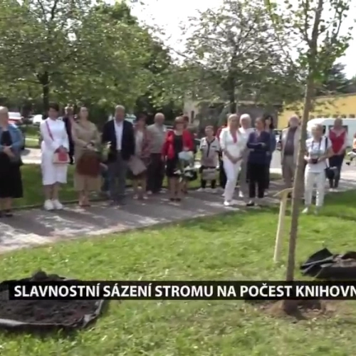 Galéria - ROS Karviná